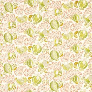 Cantaloupe