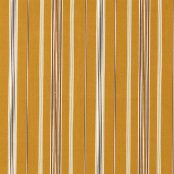 Latimer Stripe