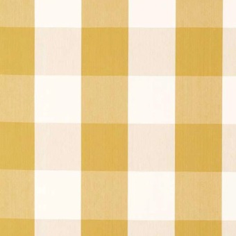 Madras Check