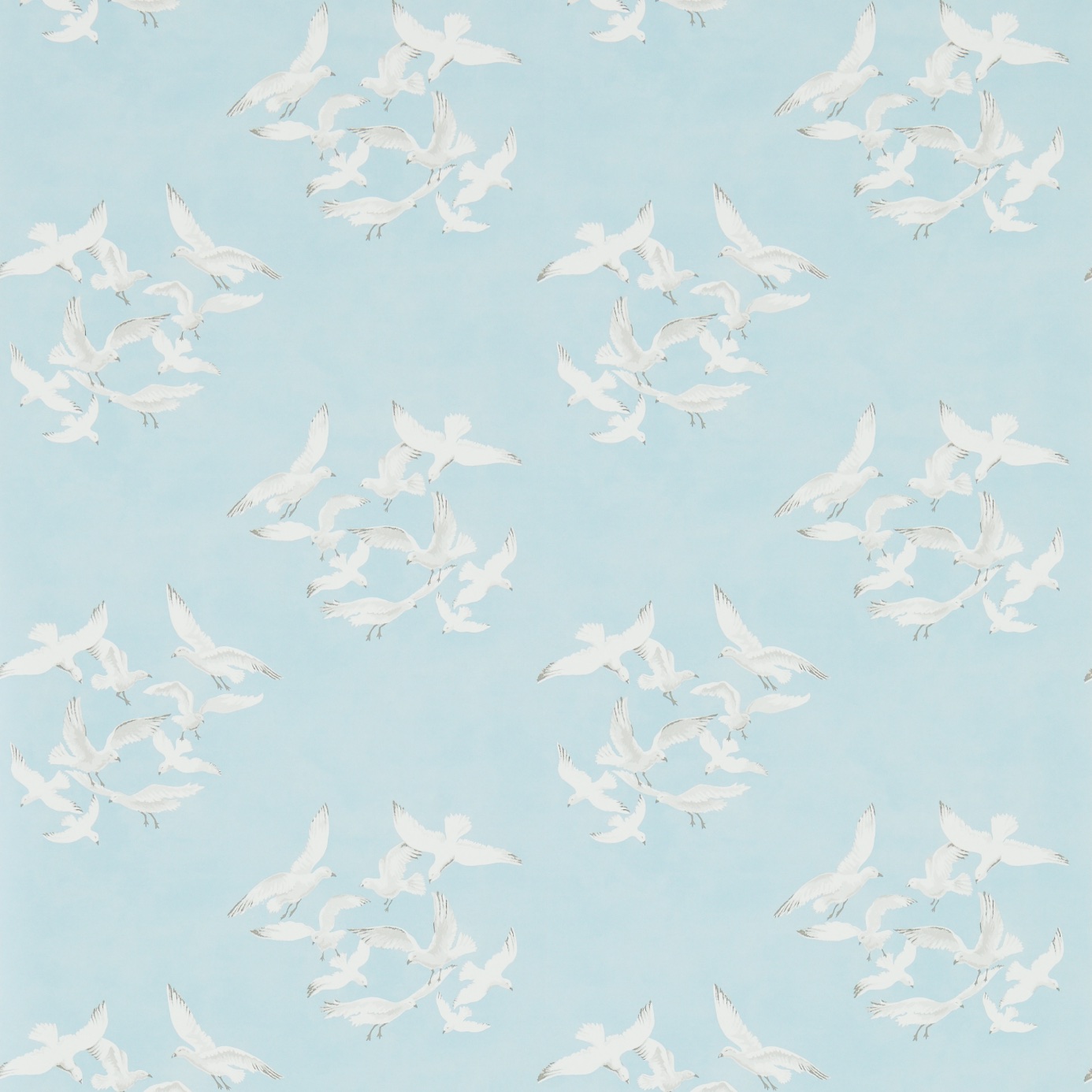 Seagulls