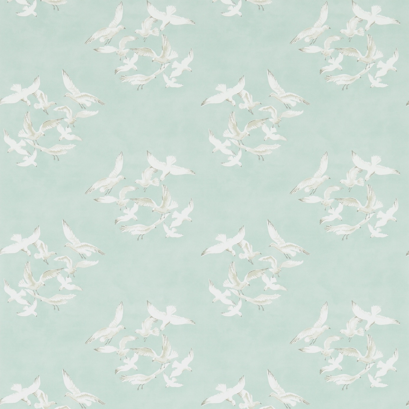 Seagulls