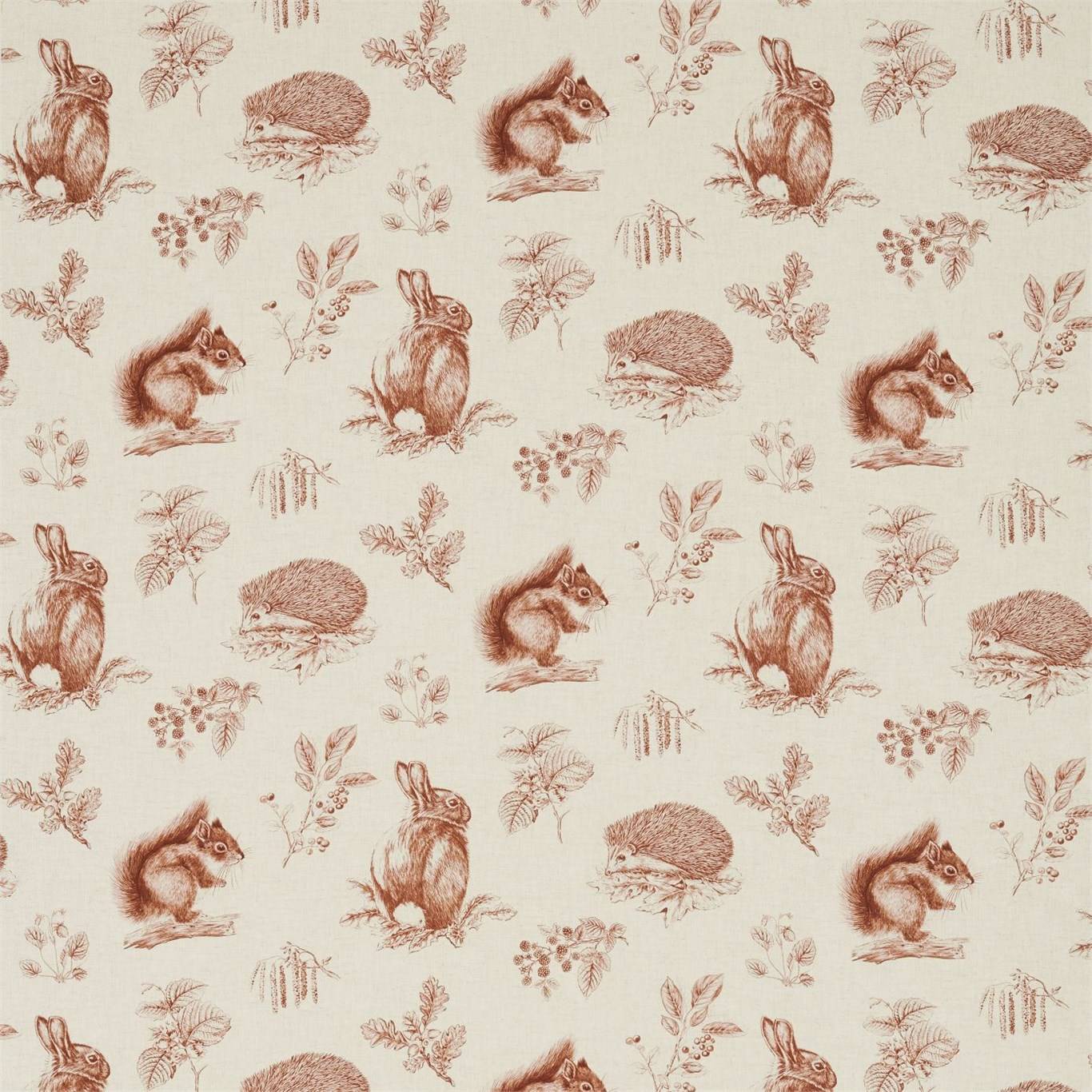 Squirrel & Hedgehog