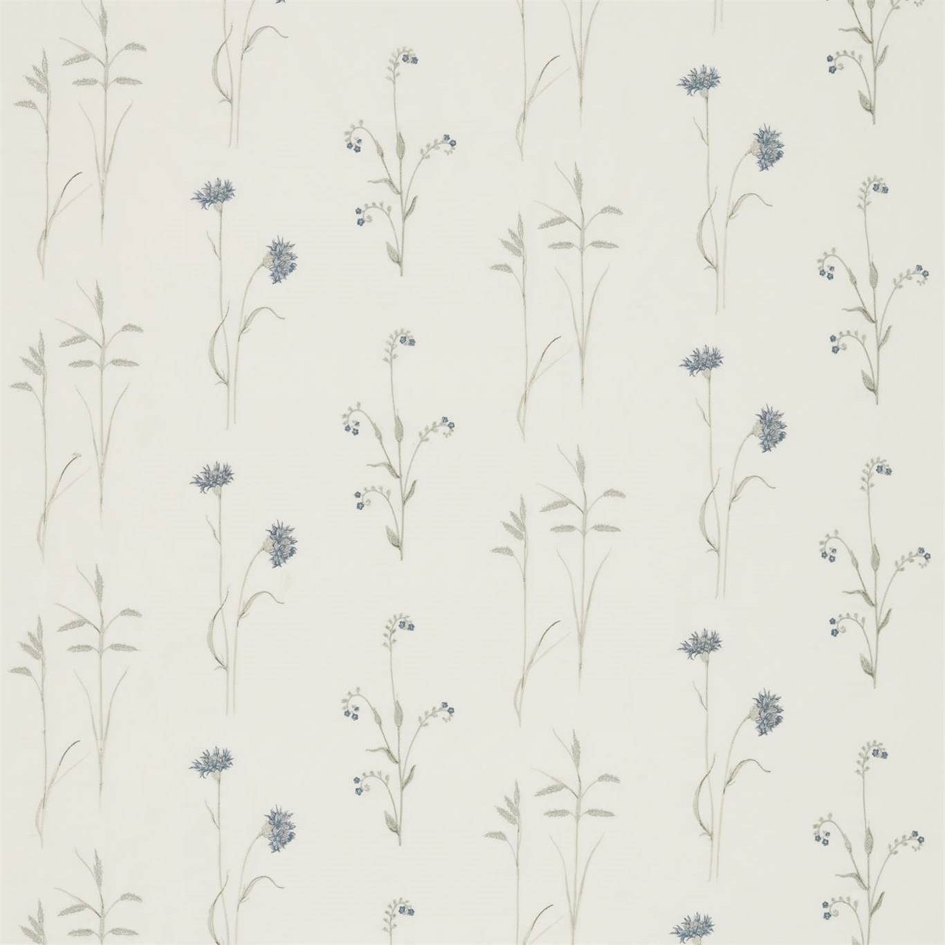 Meadow Grasses
