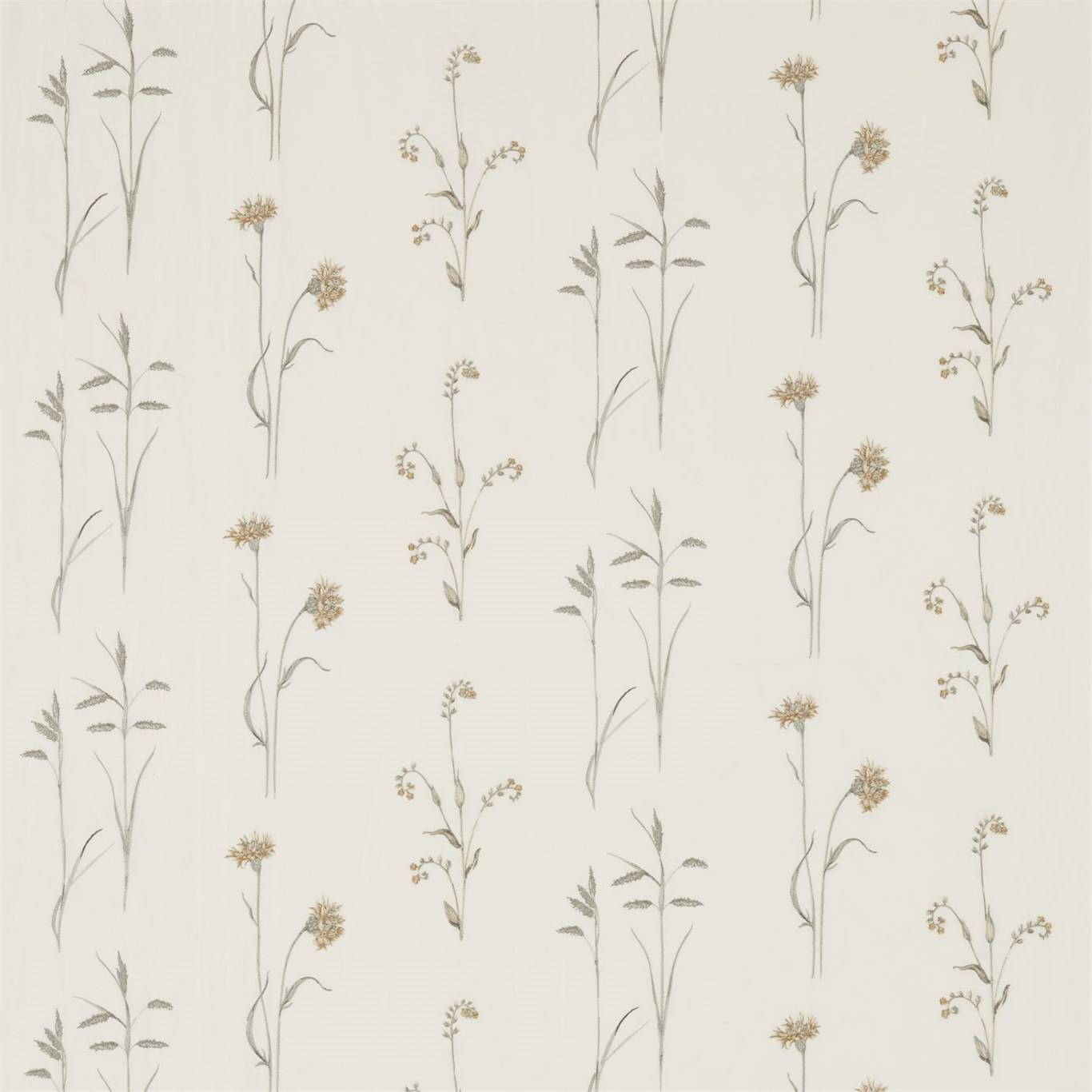Meadow Grasses