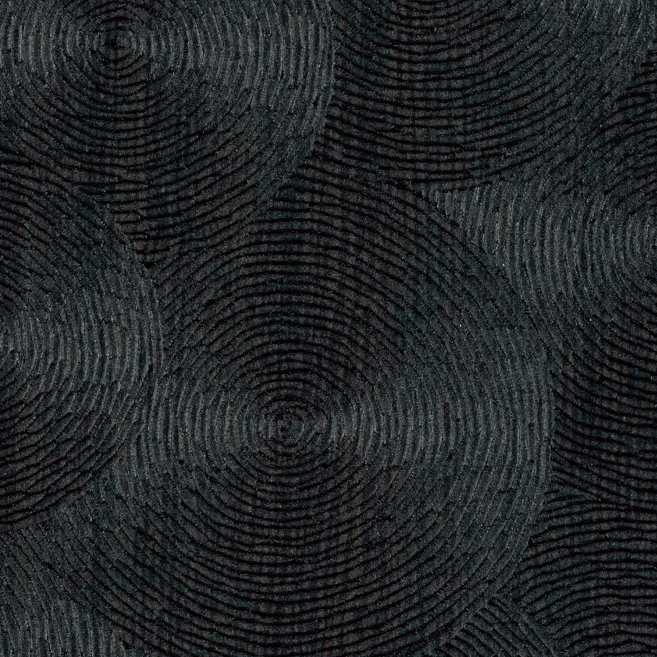 Volute