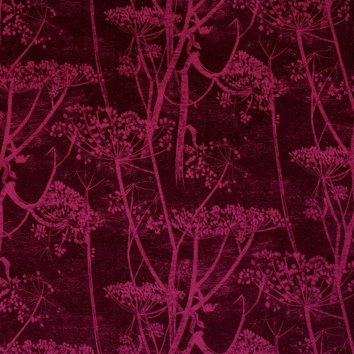 Cow Parsley Velvet