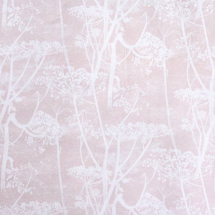 Cow Parsley