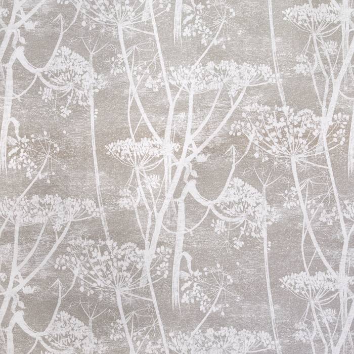 Cow Parsley