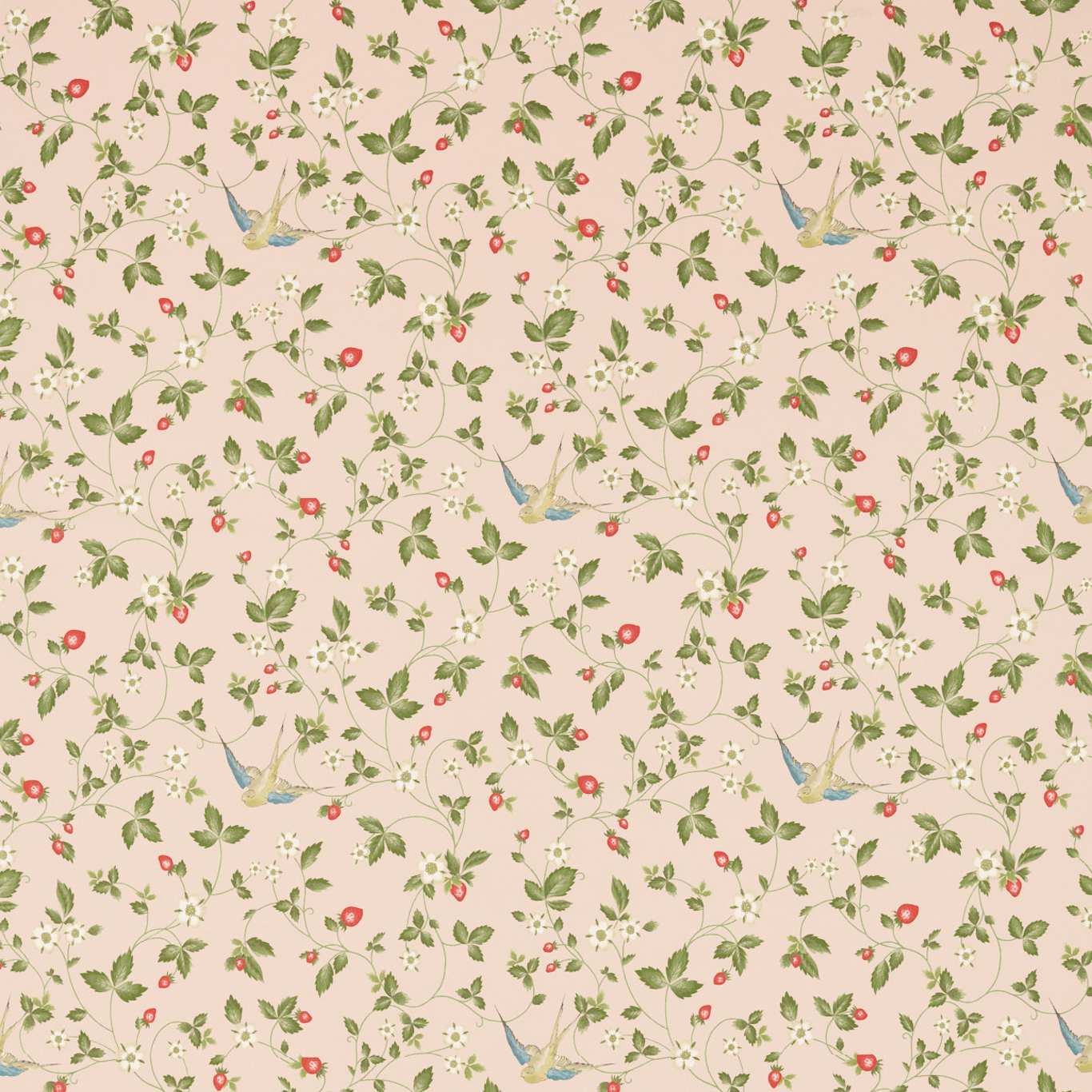 Wild Strawberry
