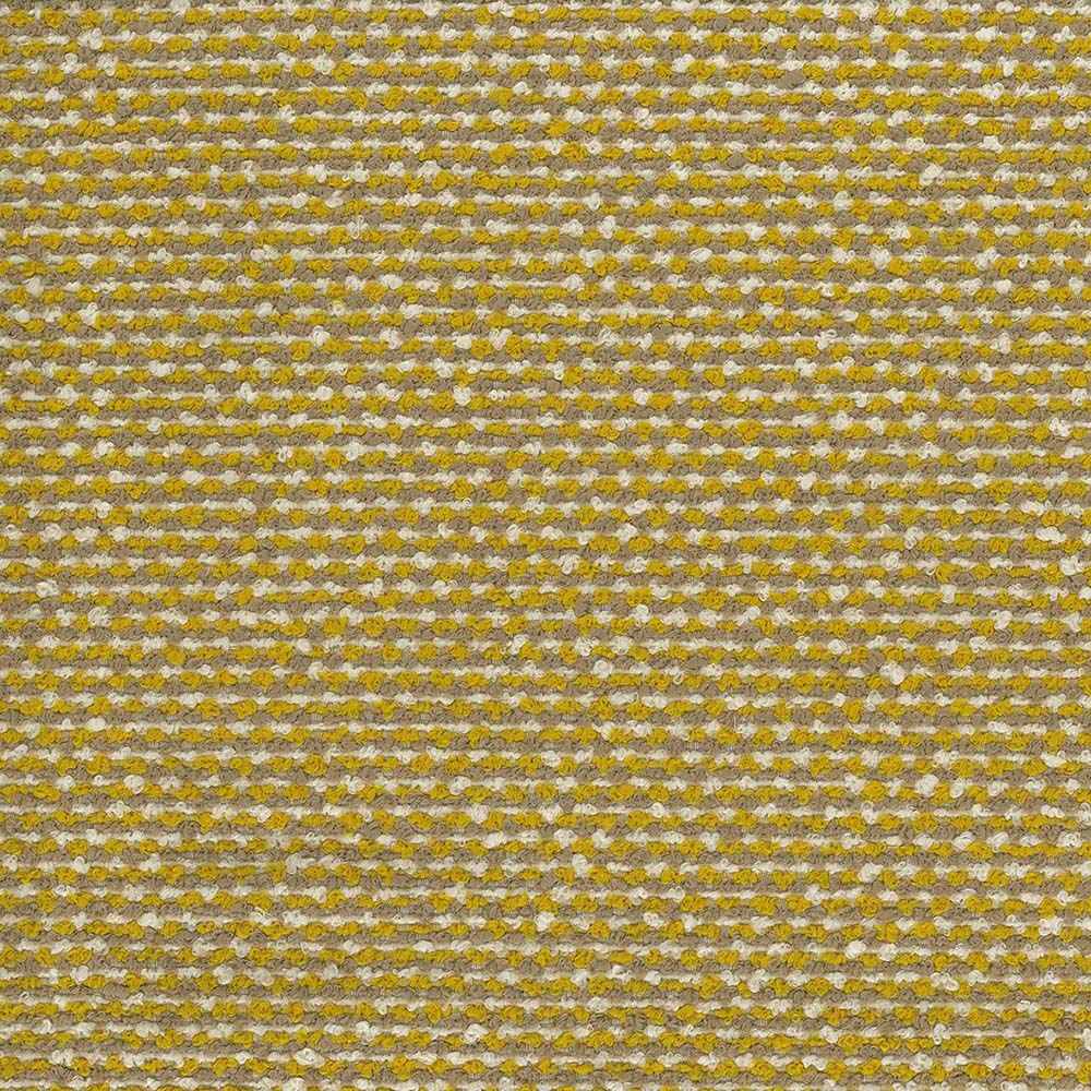 Beach Plain