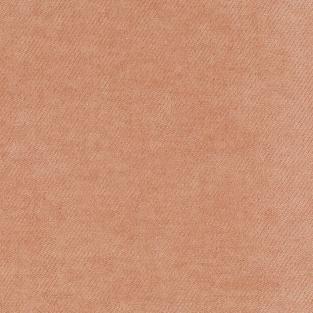 Ananda Plain