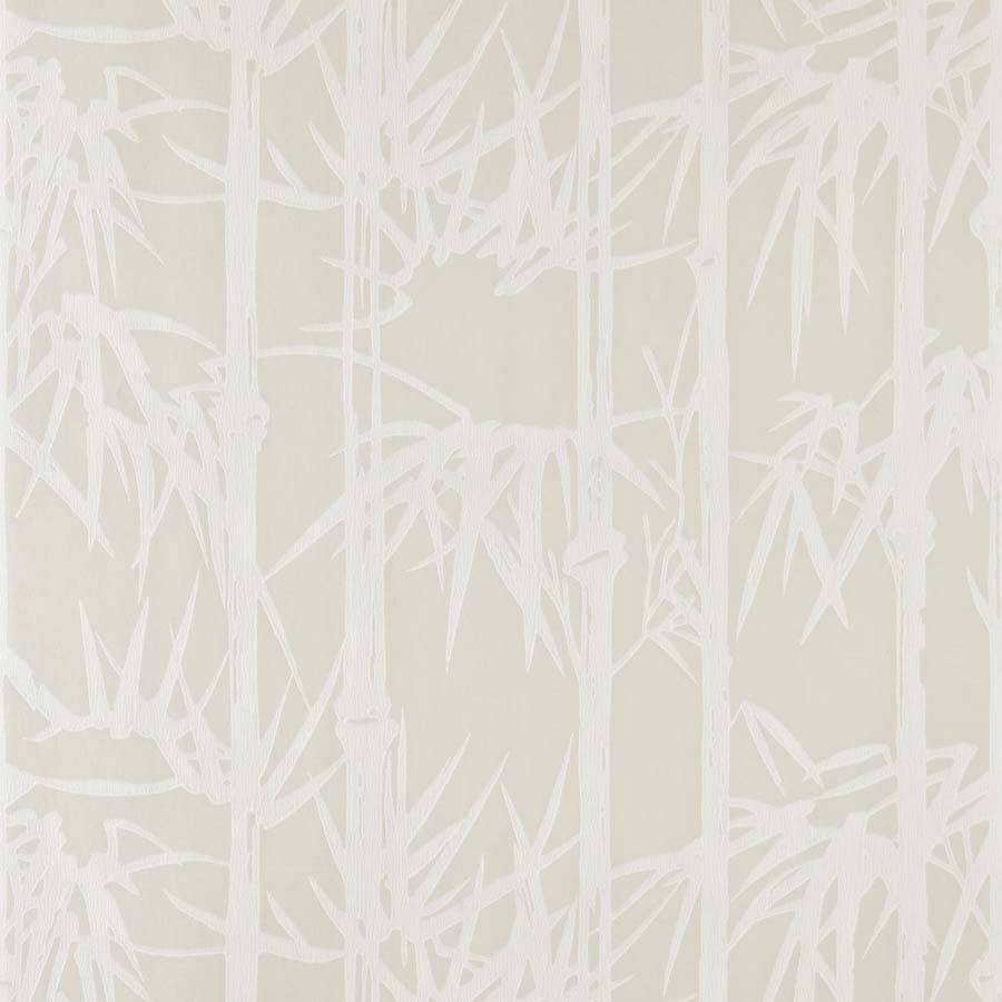 Bamboo