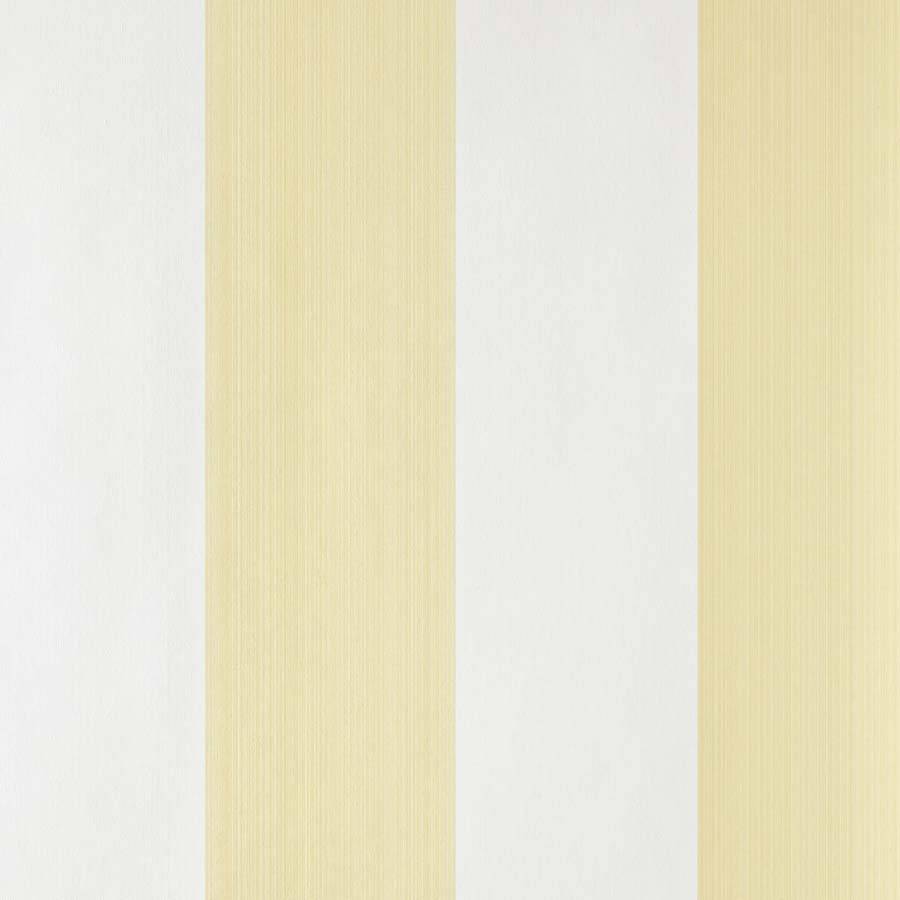 images/productimages/small/farrowandball-straightandnarrow-broadstripe-st1319-01.jpg