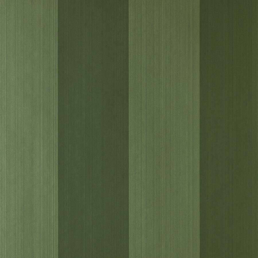 Broad Stripe