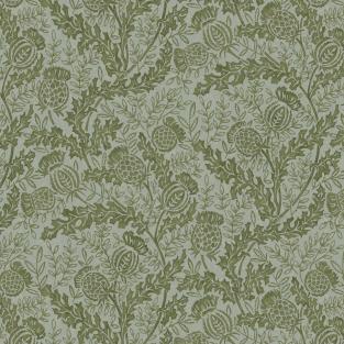 Mulberry Thistle