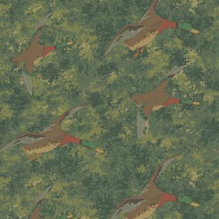 Forest Ducks
