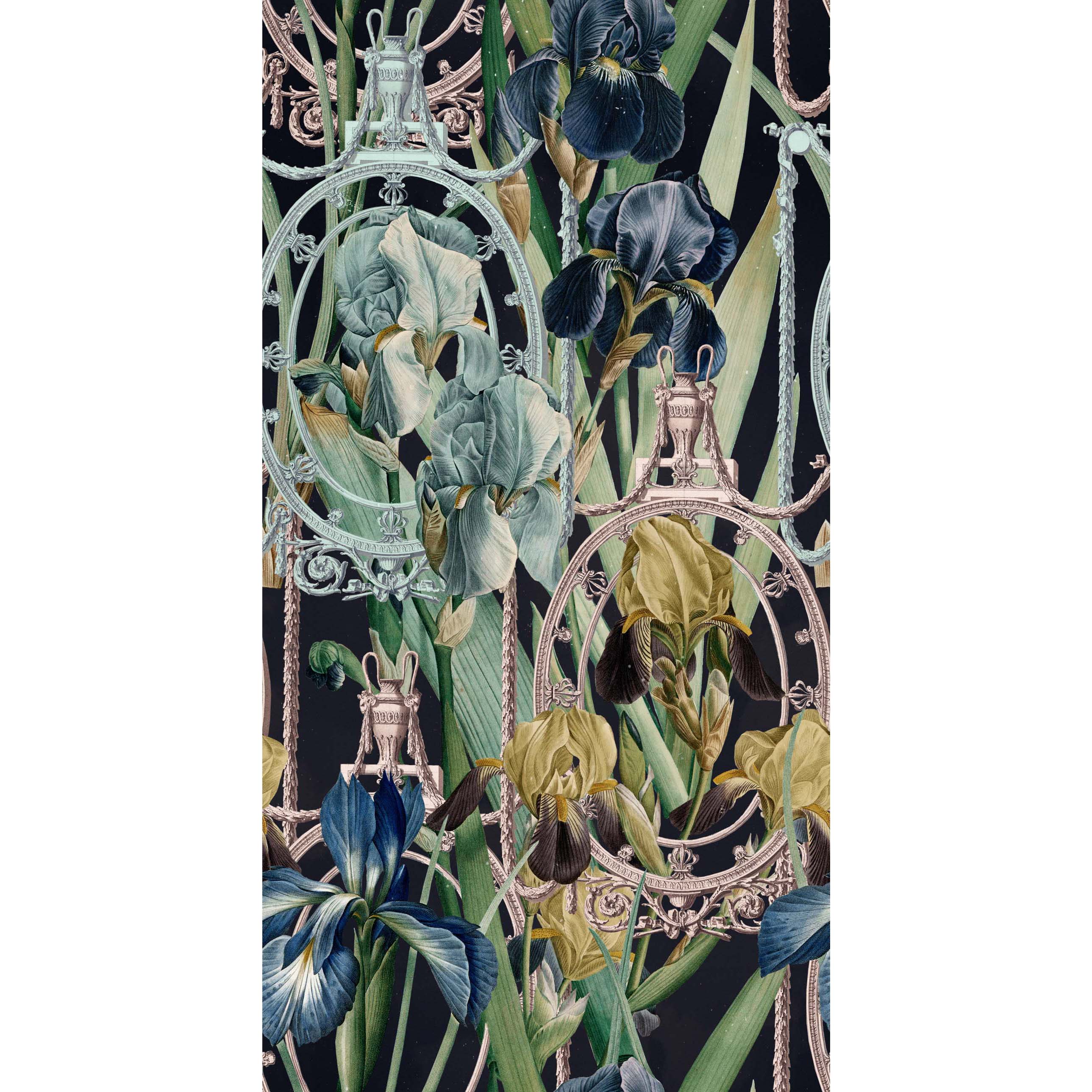 Fleurs D'Iris