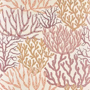 Acropora