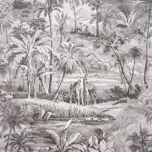 Safari
