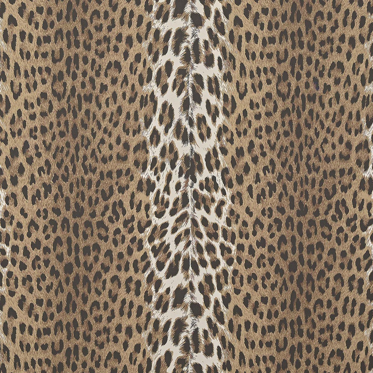 Panthera