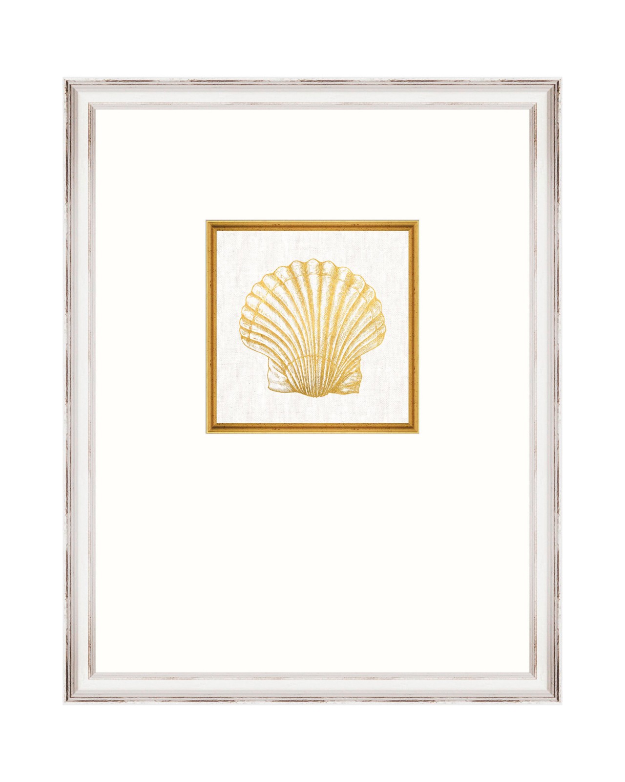 MEDITERRANEAN GEMS - SEASHELL