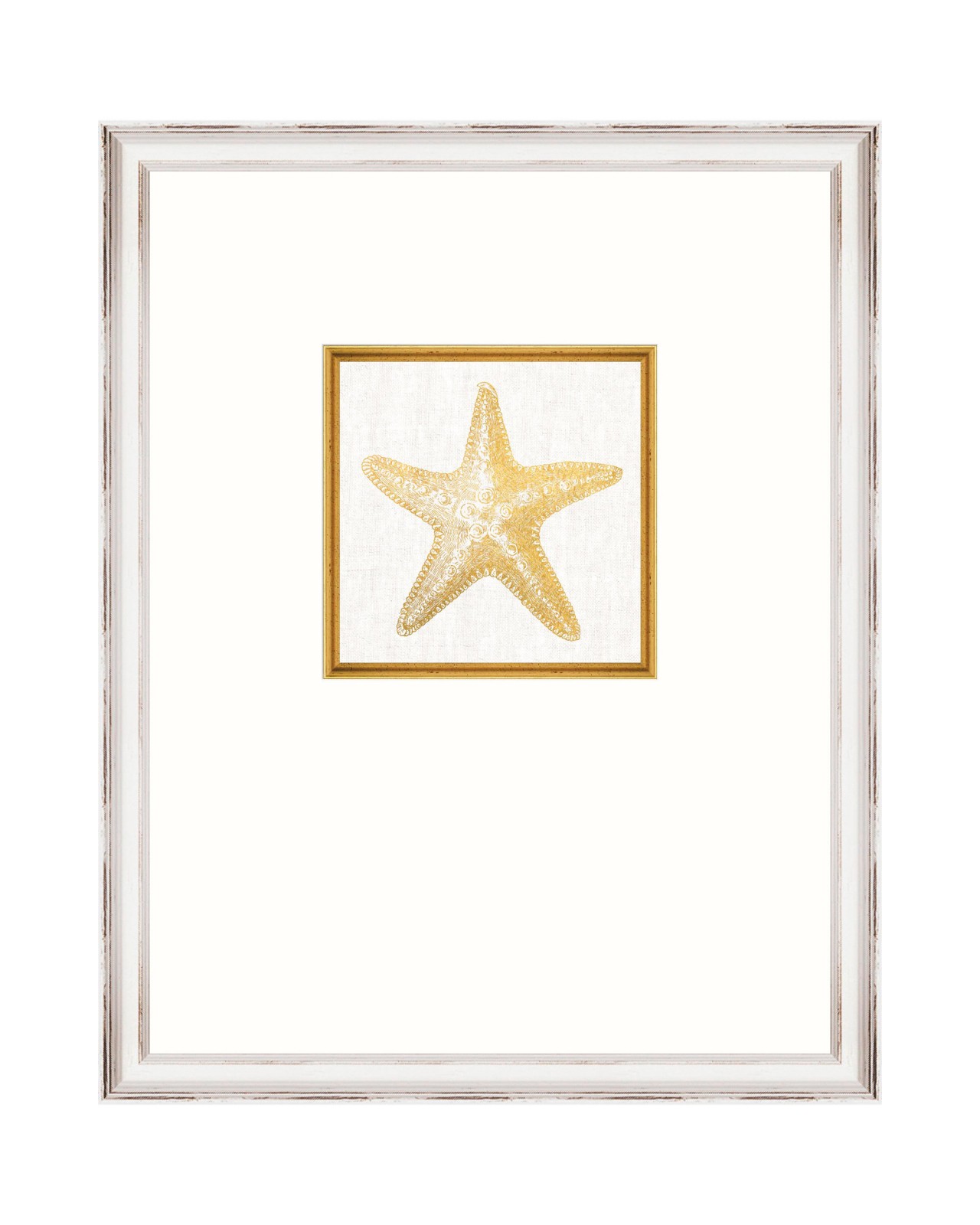 MEDITERRANEAN GEMS - STARFISH
