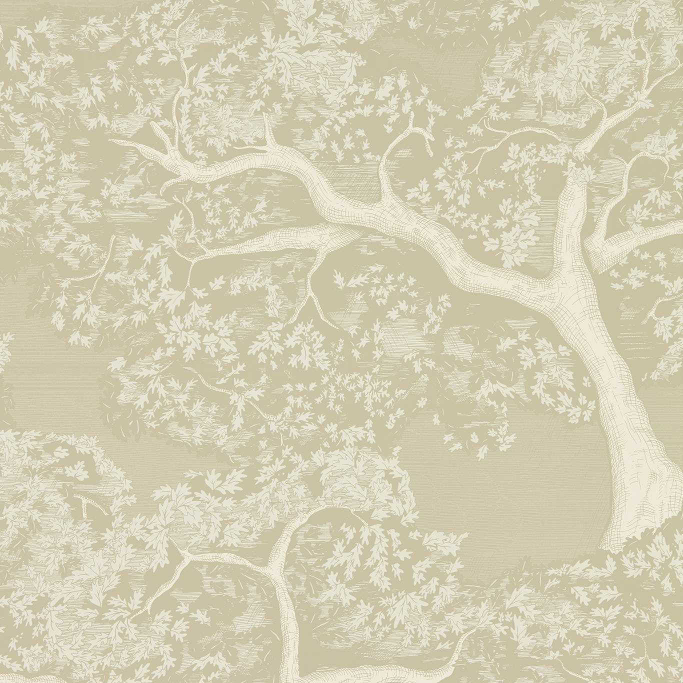 Eternal Oak
