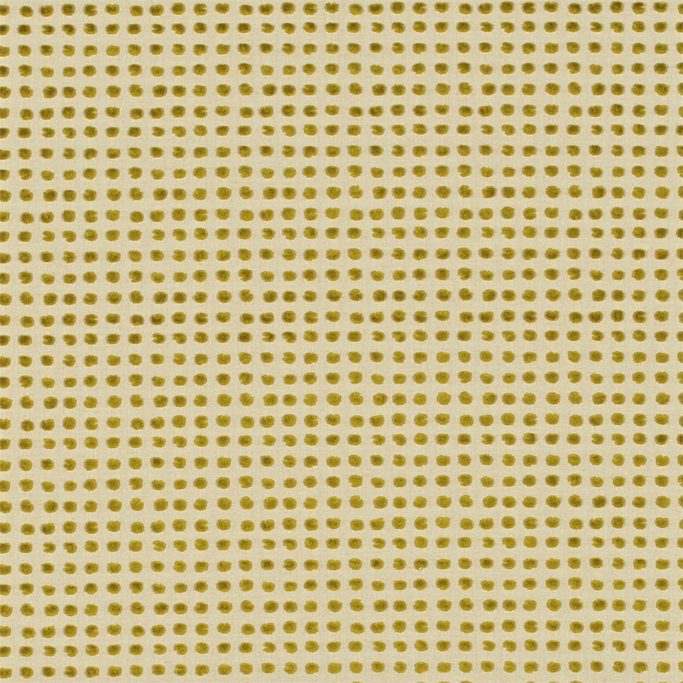 Polka