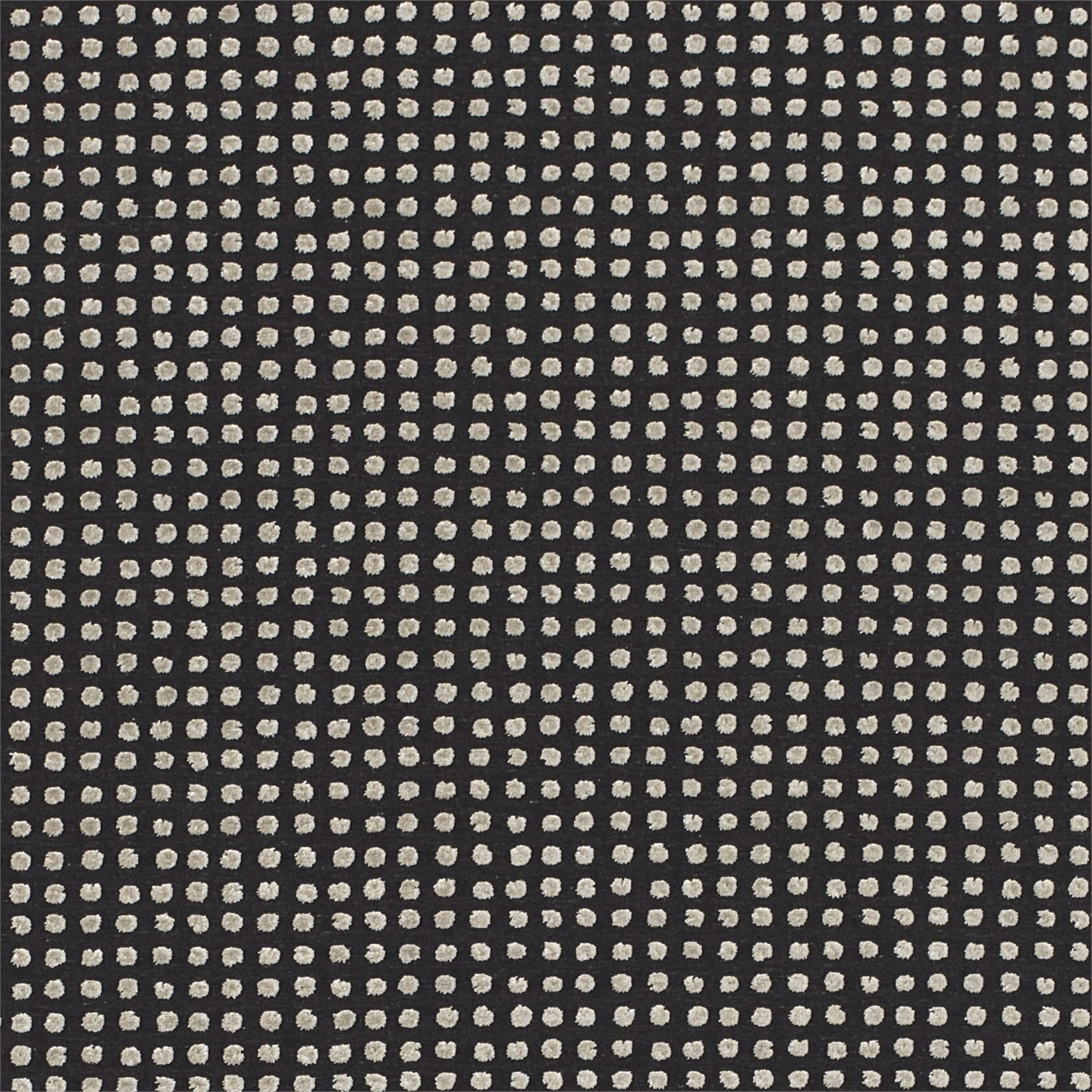 Polka