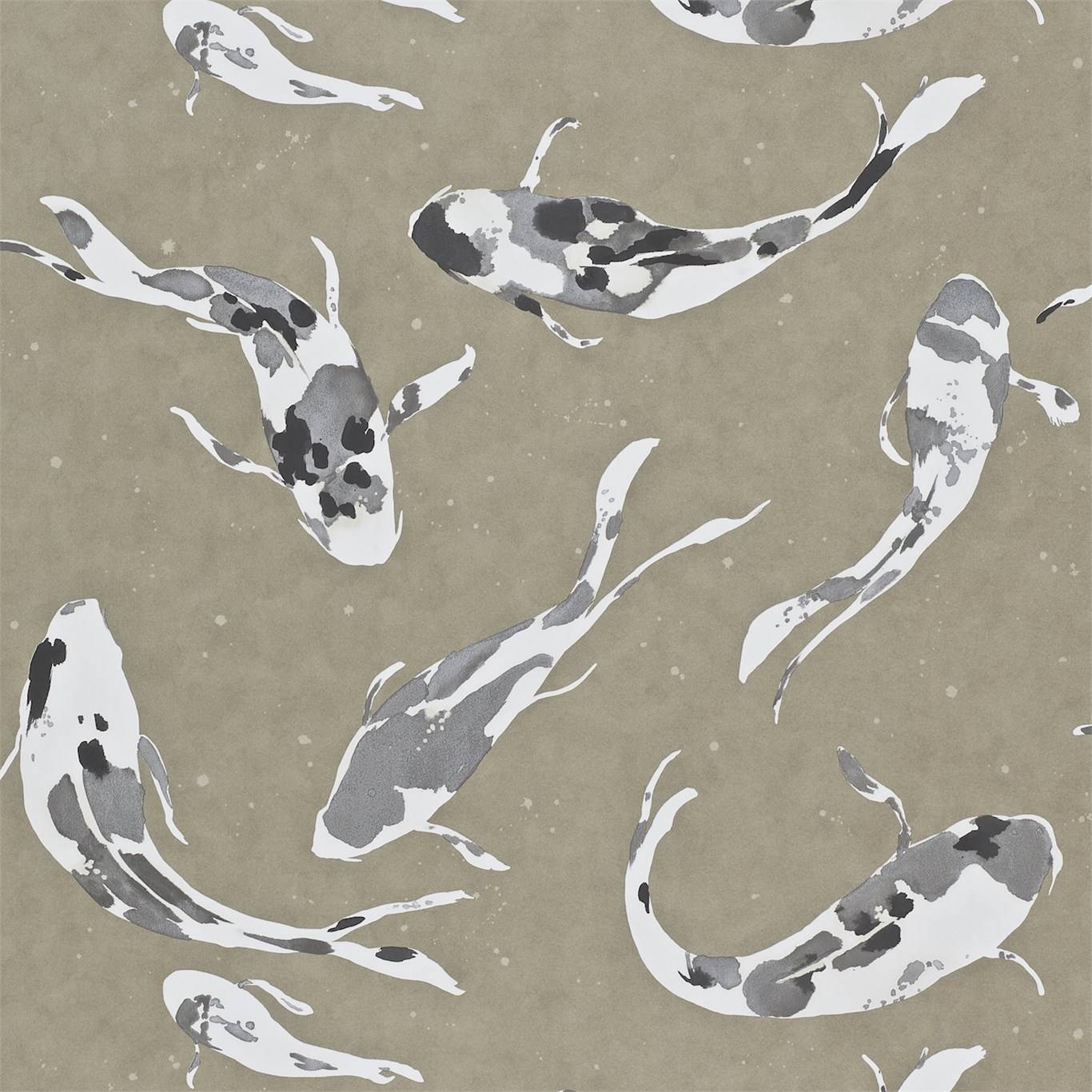 Koi