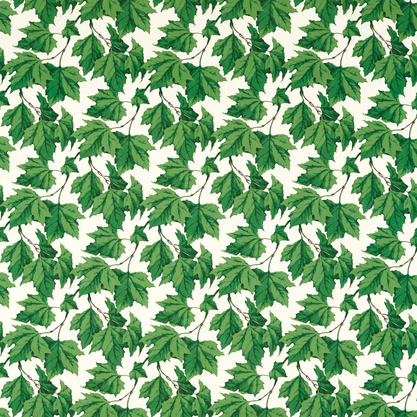 Dappled Leaf