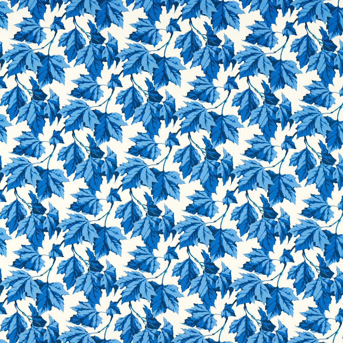Dappled Leaf