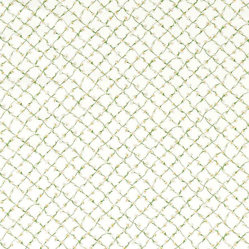 Daisy Trellis