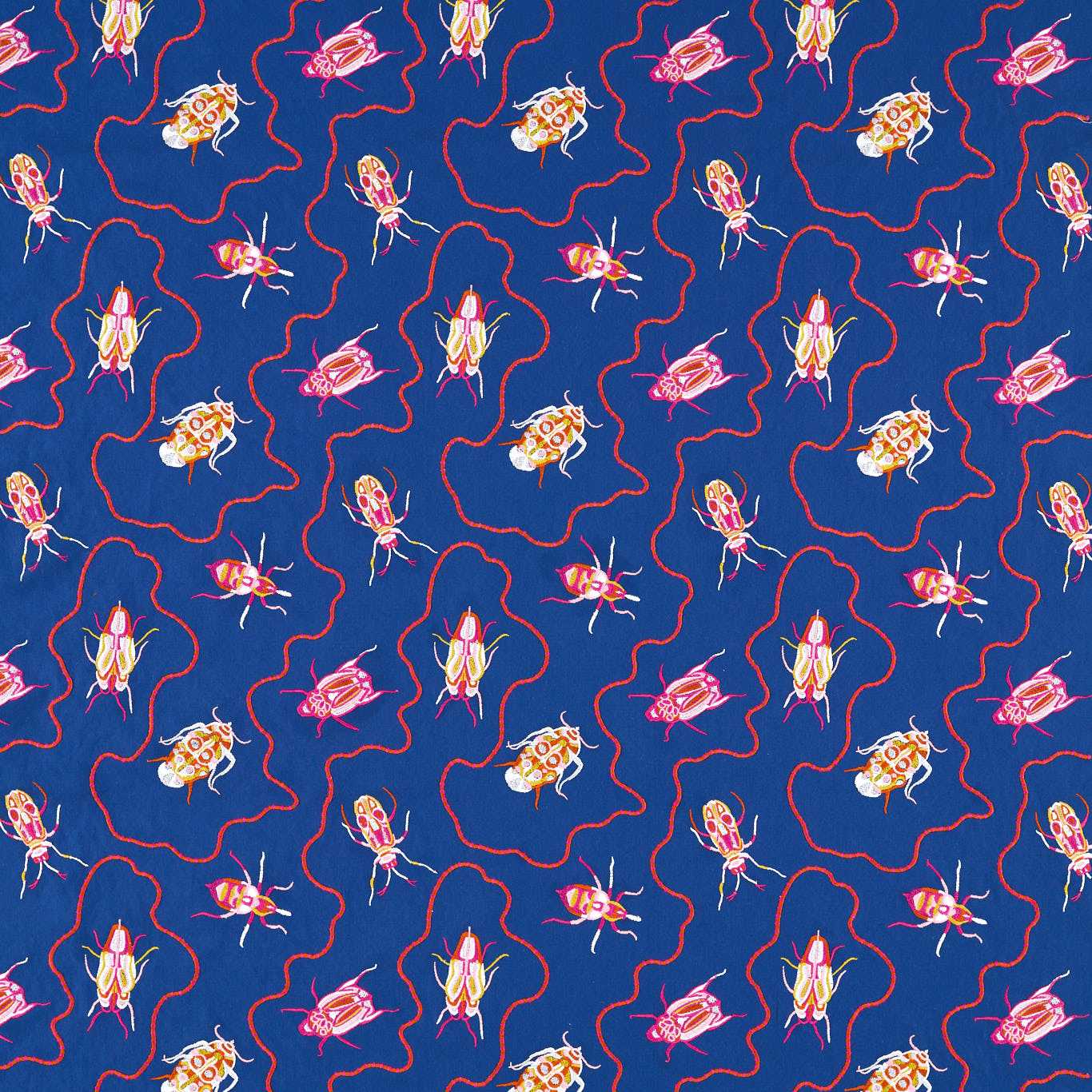Jewel Beetles
