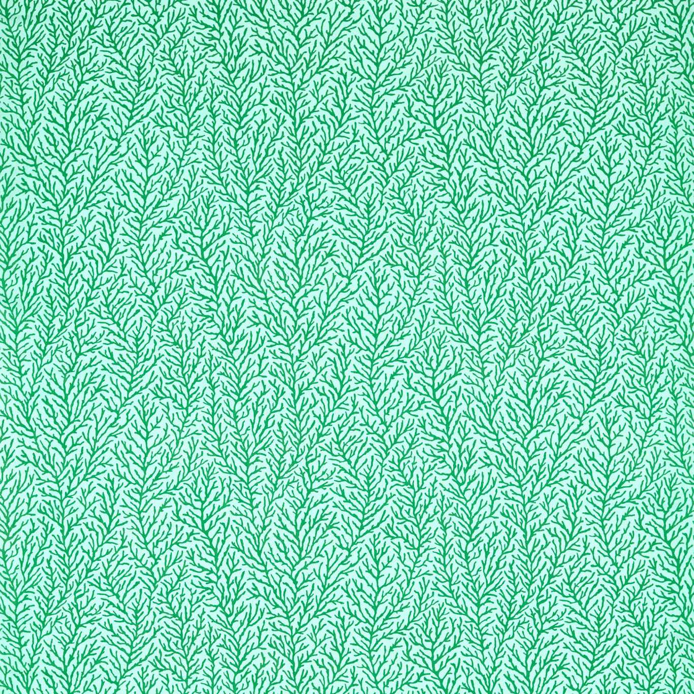 Atoll