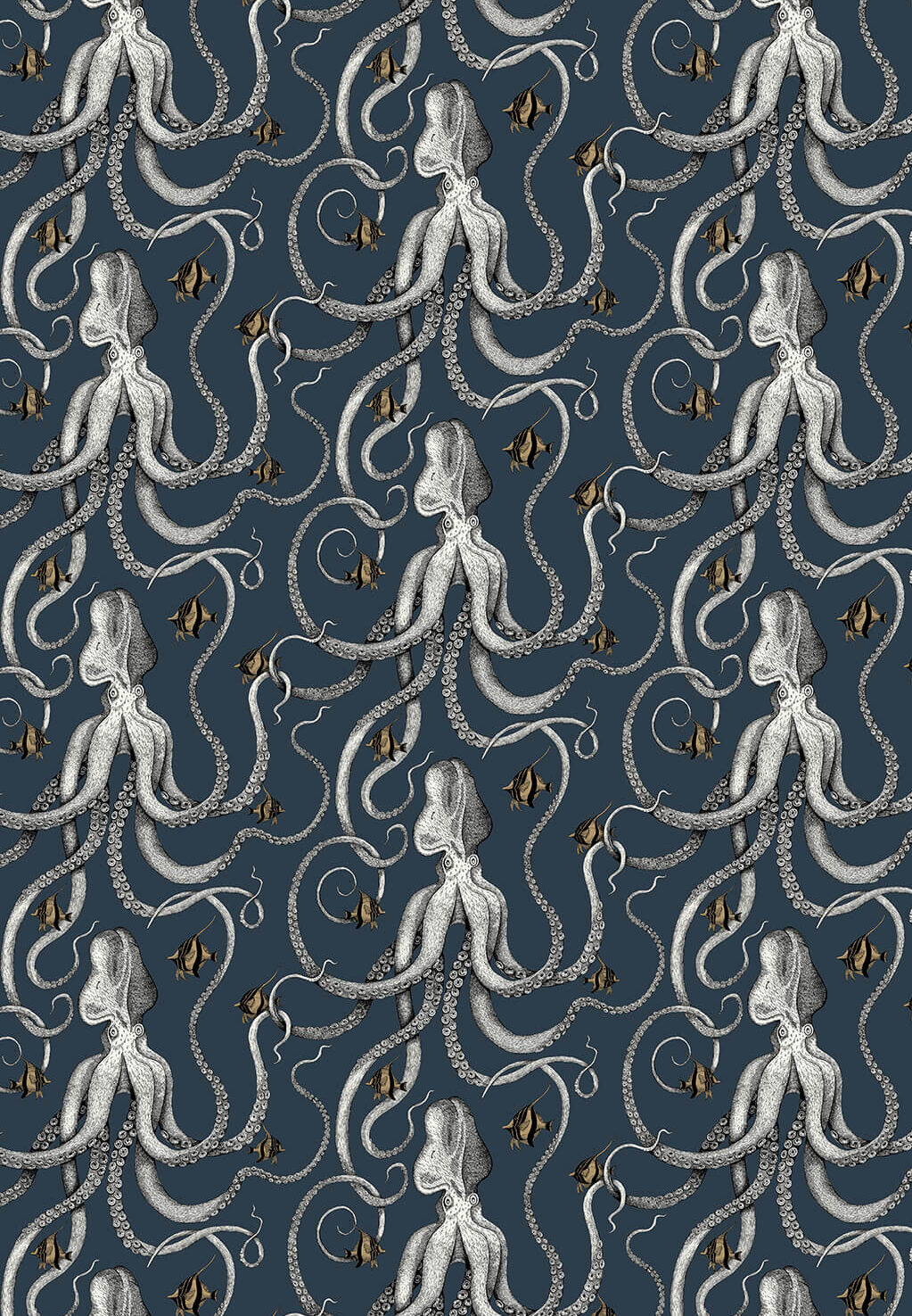 Octopoda