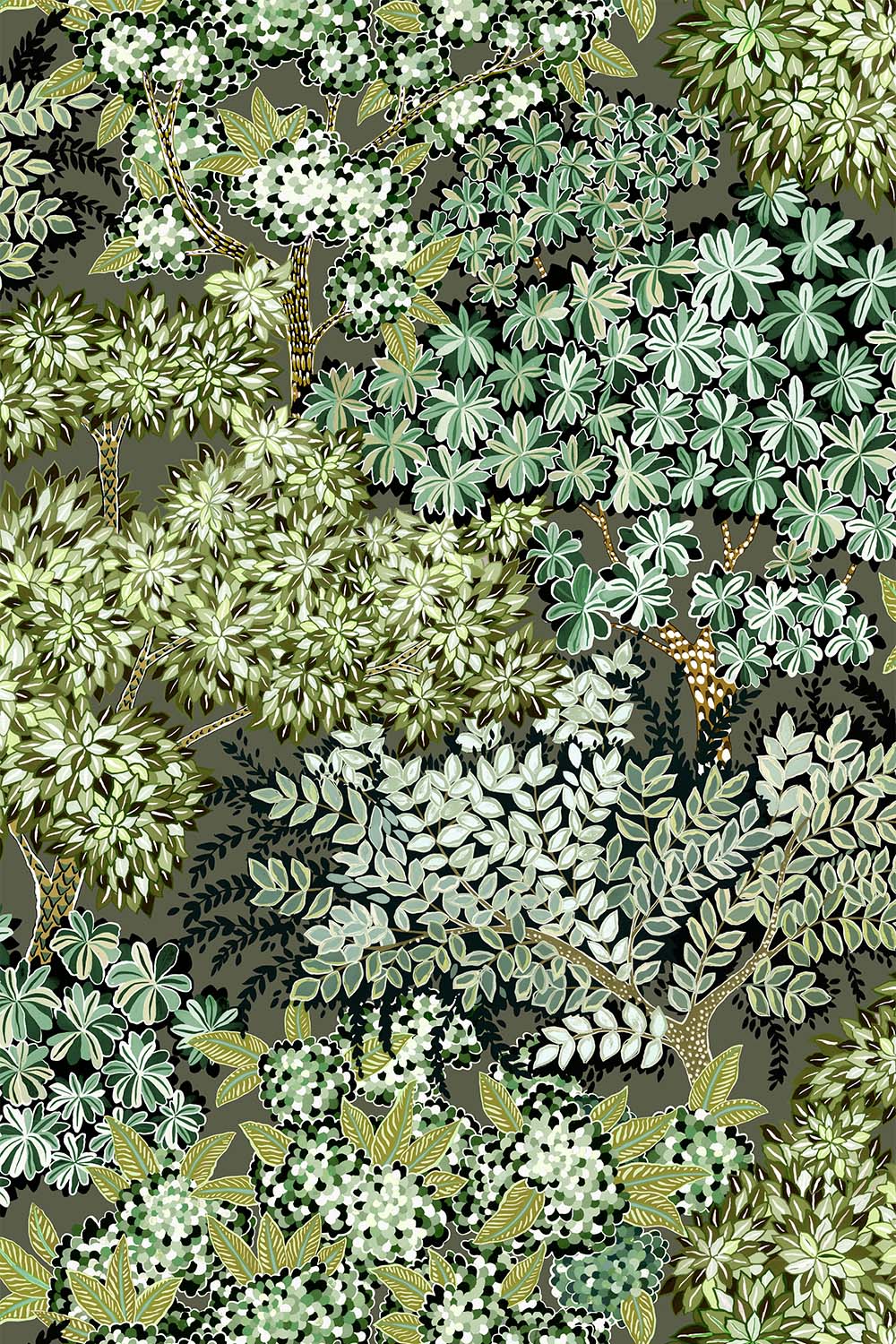 Broccoli Canopy