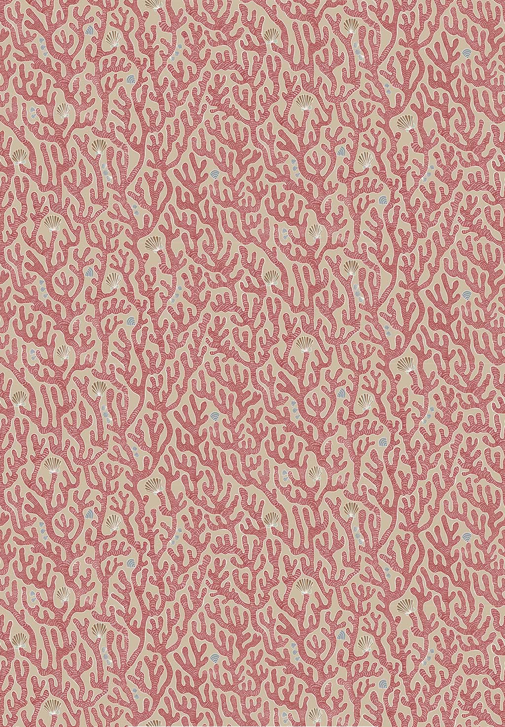 Coral