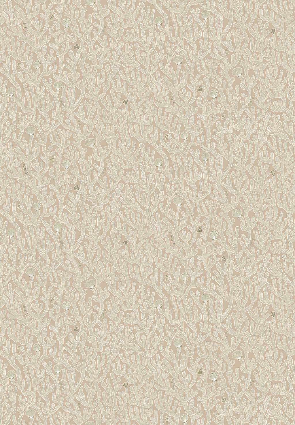 Coral
