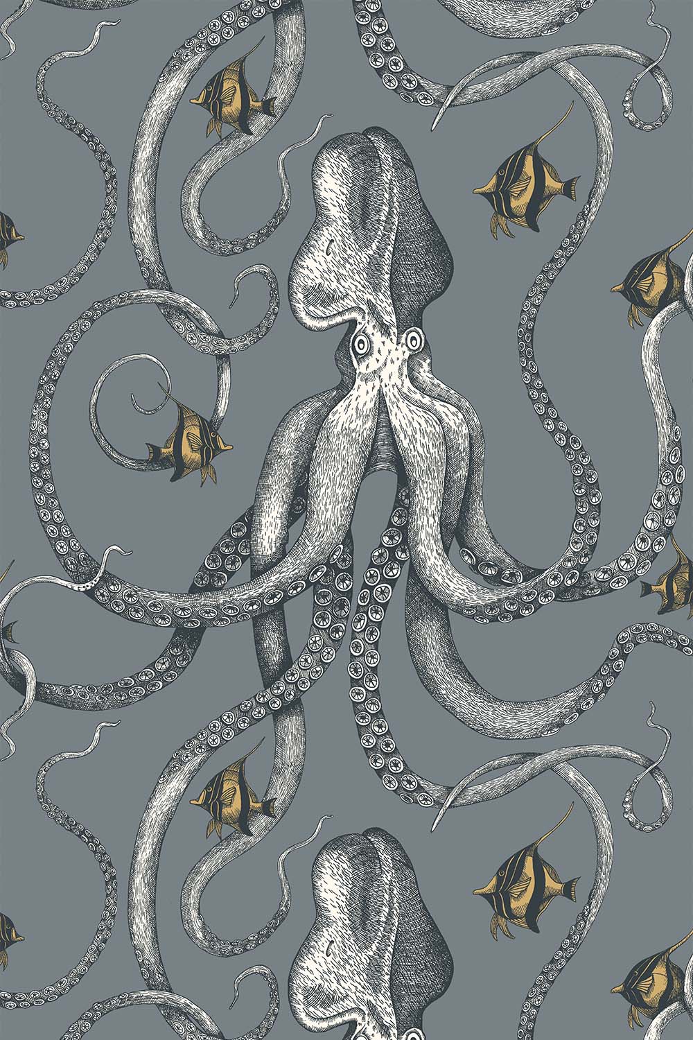 Octopoda Grand