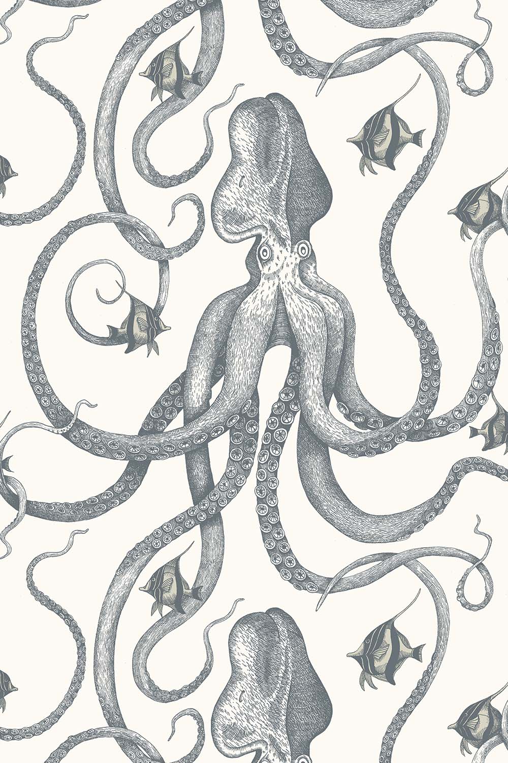 Octopoda Grand
