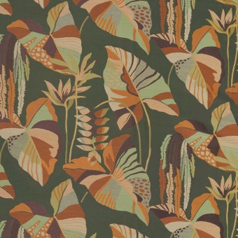 Arum Leaves