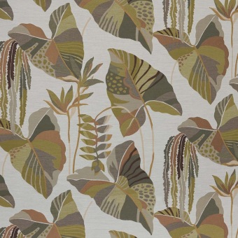 Arum Leaves