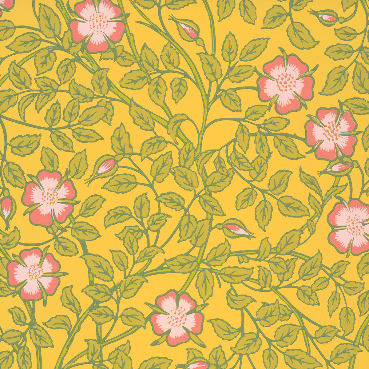 images/productimages/small/lg-ntiii-briar-rose-indian-yellow.jpg