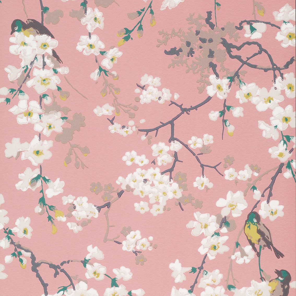 Massingberd Blossom