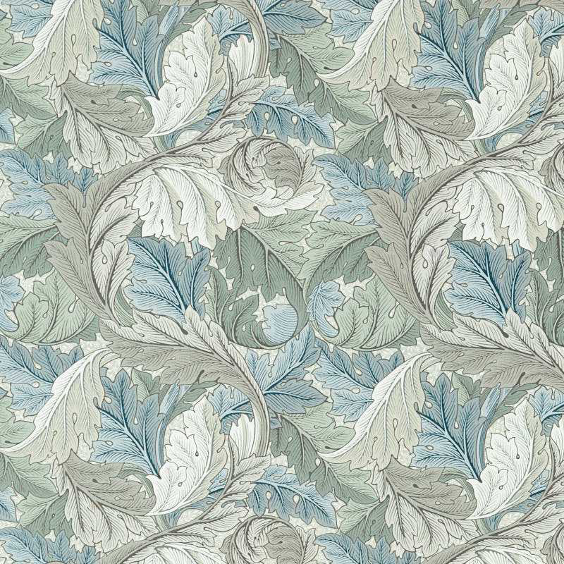 Acanthus