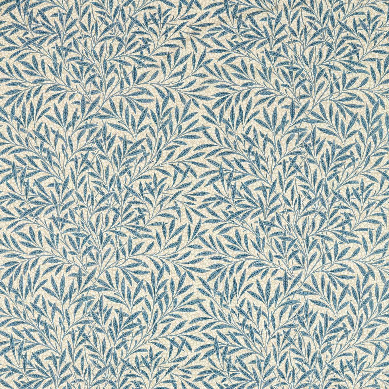 Emery's Willow