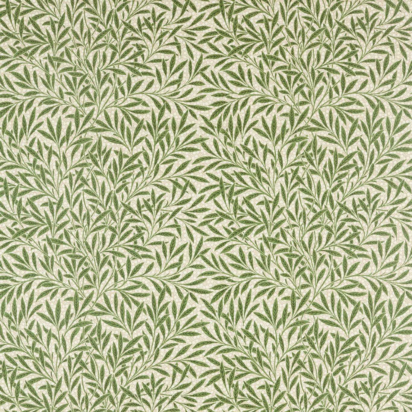 Emery's Willow