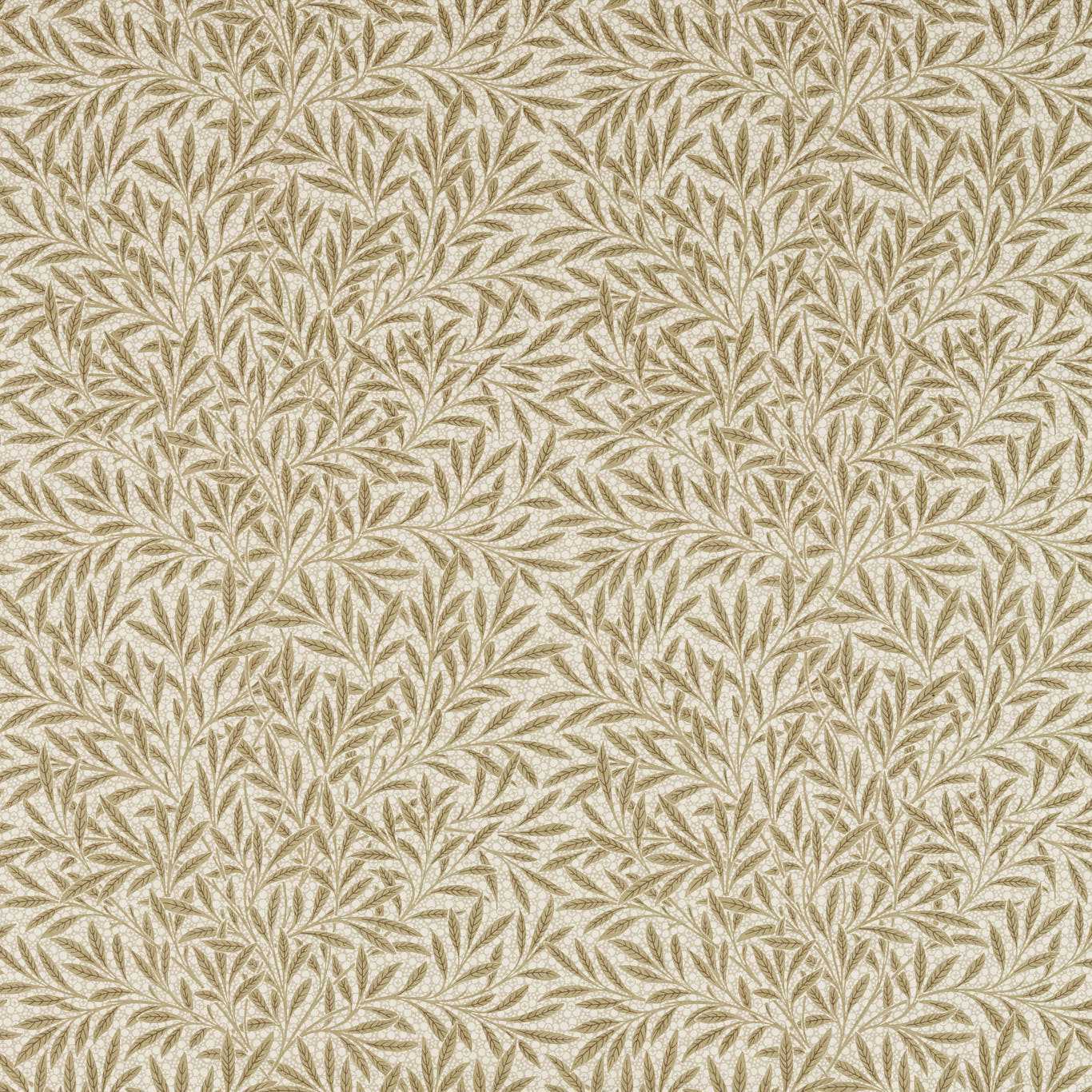 Emery's Willow