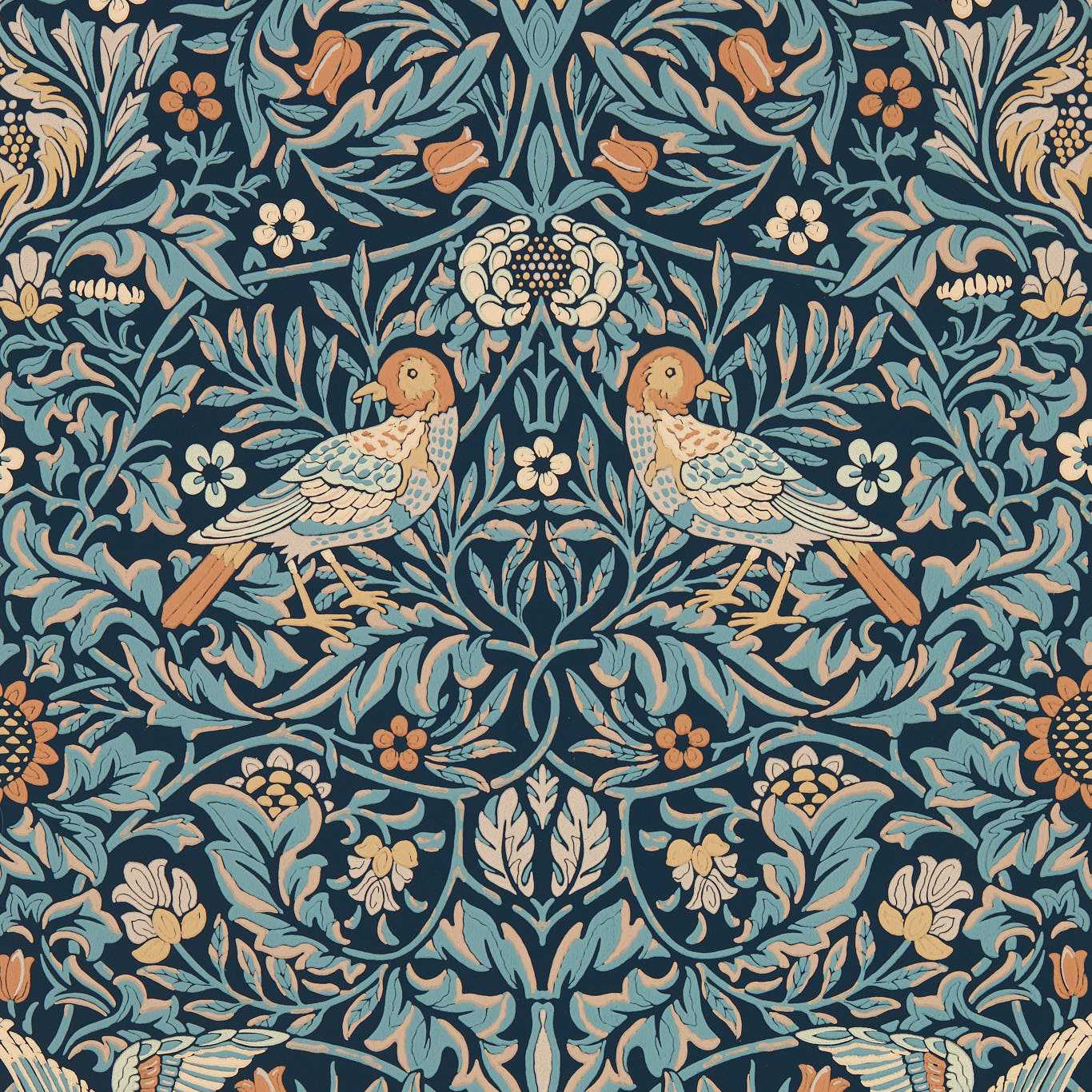 Bird